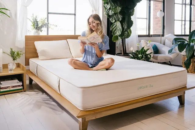 Peace Lily Latex Mattress - Mattress Zone New Zealand